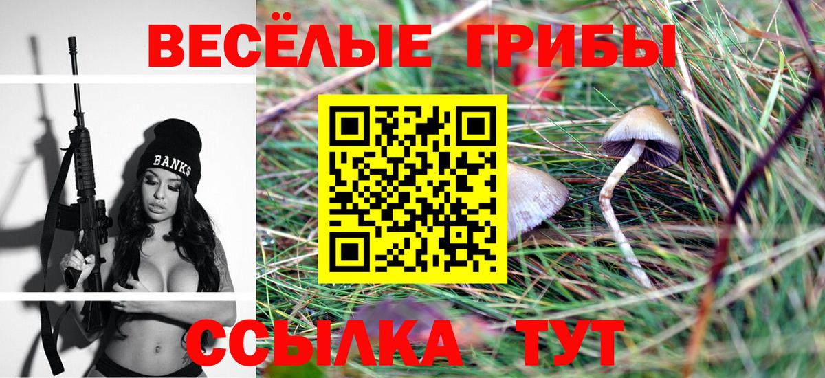 Кимовск  Псилоцибиновые грибы мухоморы  Вход с VPN 