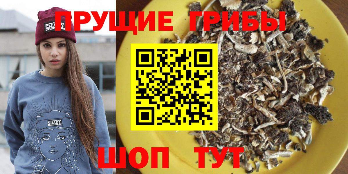 Псилоцибиновые грибы мицелий Кимовск
